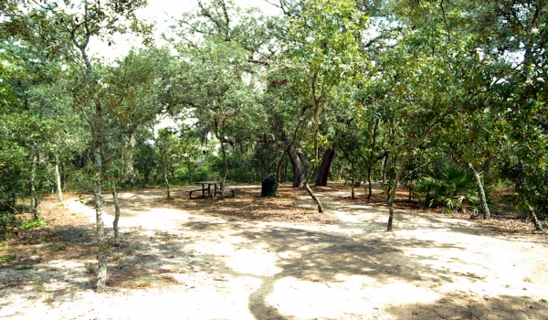 Nature Trail Picnic Area Emerald Island Orlando villas Picnic Area